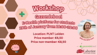 Bestuurs Workshop: E-Health meets Medical Health Psychology